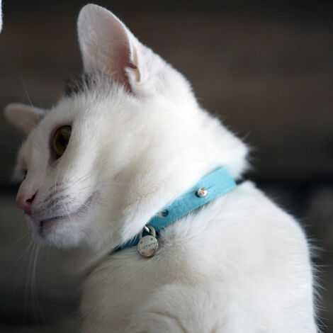 7image-3_1000pix (2)