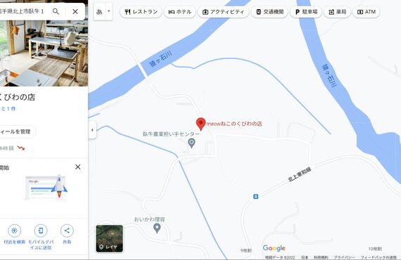 シックなカラーからポップなカラーまでおしゃれで可愛い猫首輪専門店　meowねこのくびわの店